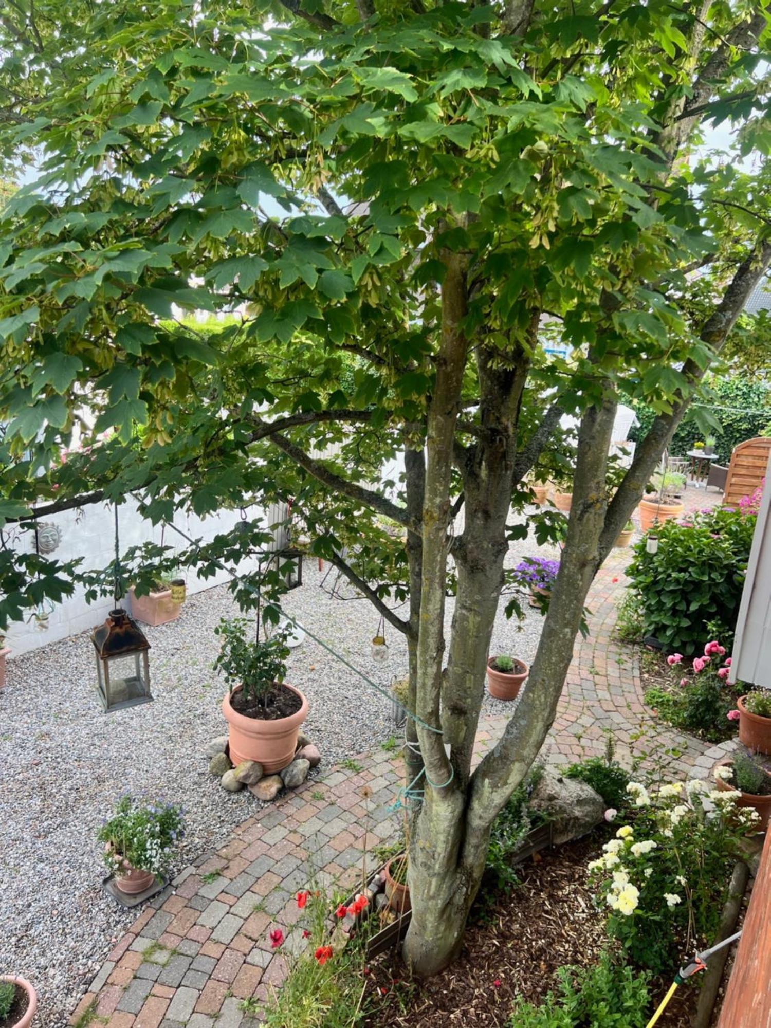 Appartamento Sylt Island House Westerland Esterno foto